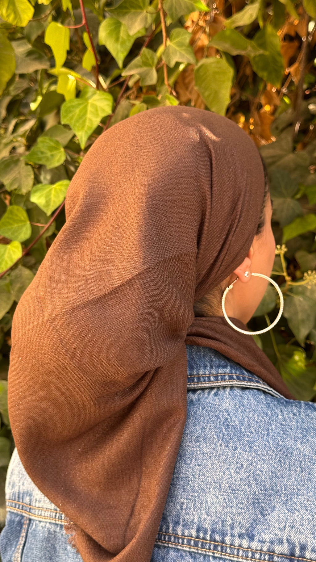 מרובעת נצנץ- חום