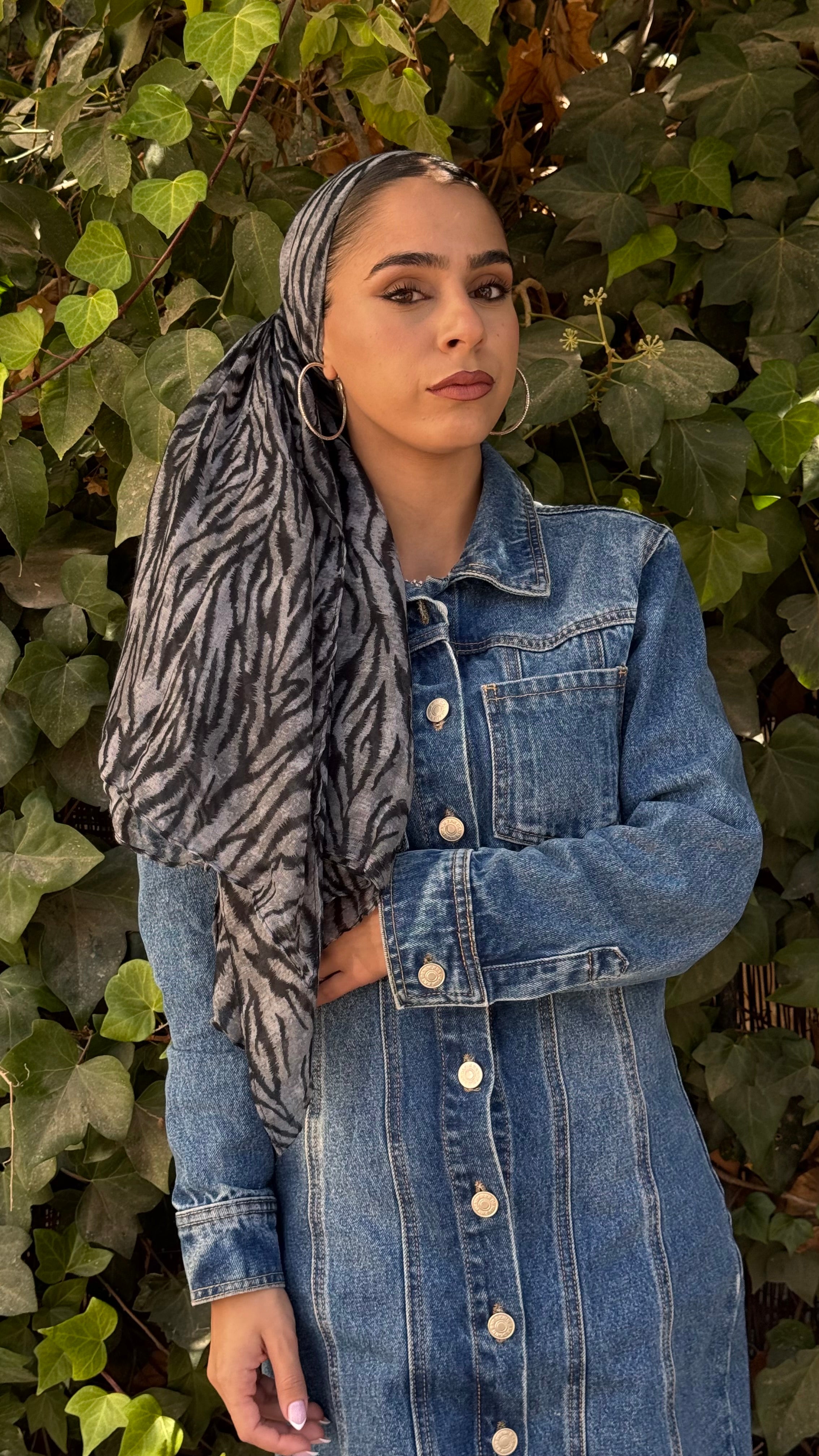 לונג זברה-אפור