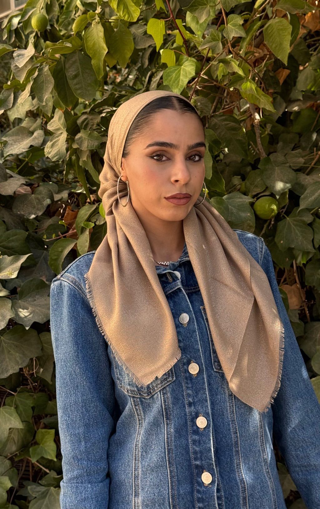 מרובעת נצנץ- בז׳