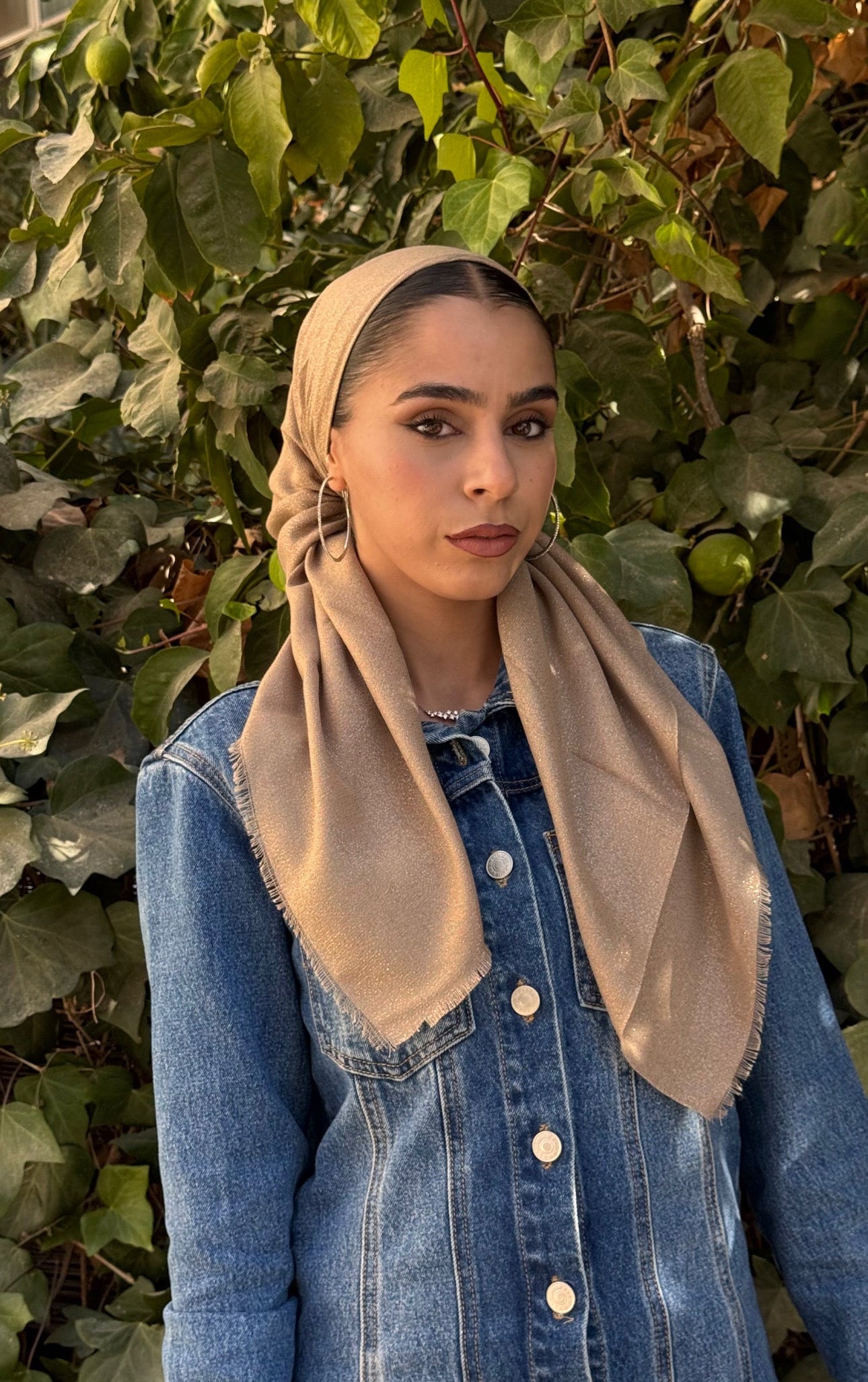 מרובעת נצנץ- בז׳