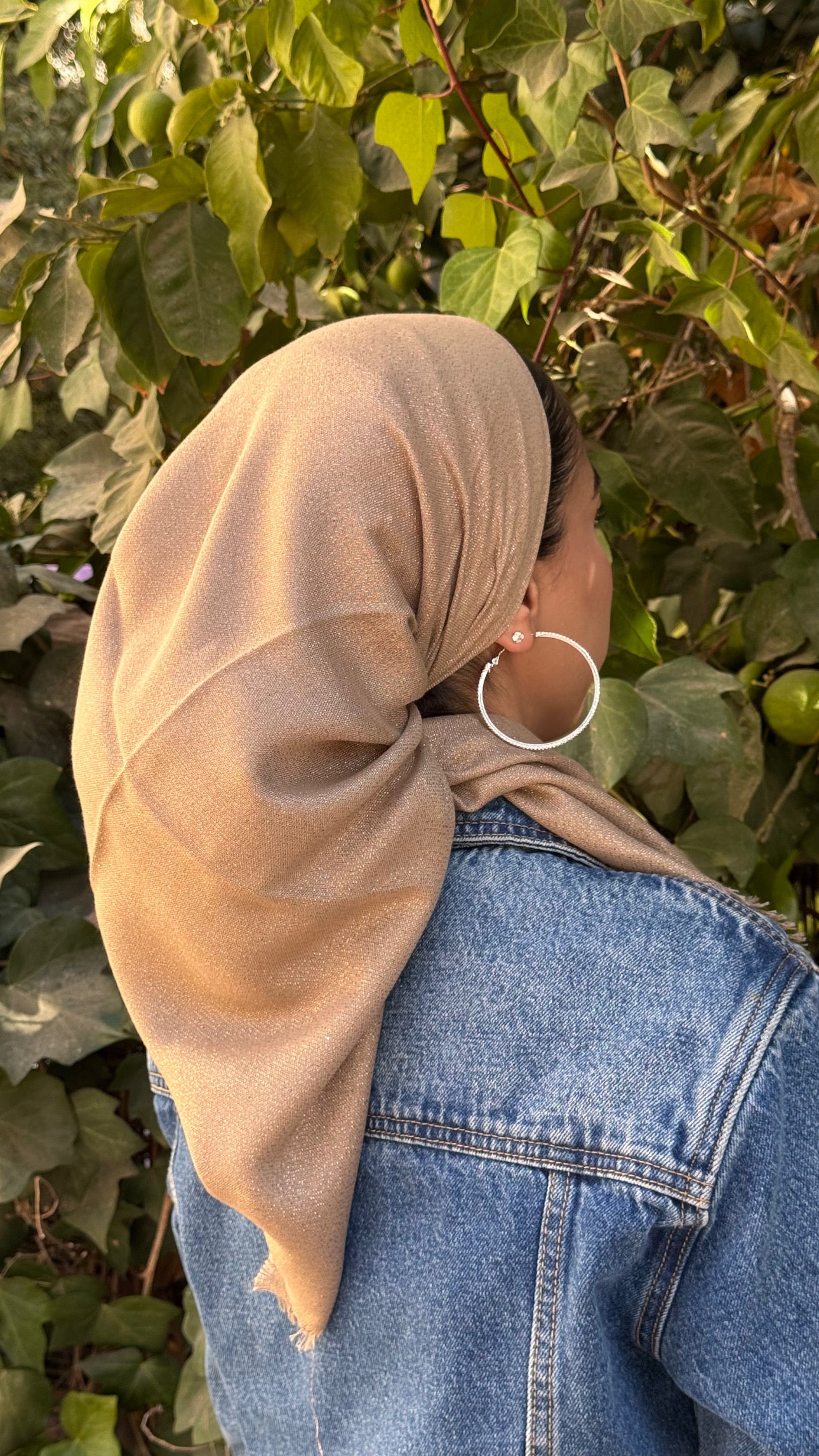 מרובעת נצנץ- בז׳