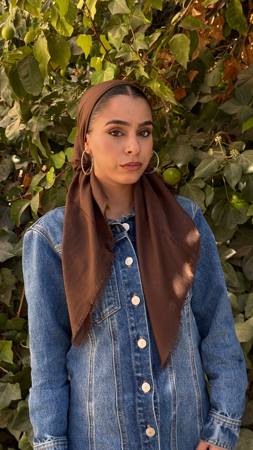 מרובעת נצנץ- חום